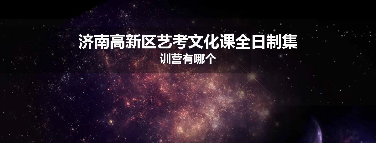 济南高新区艺考文化课全日制集训营有哪个