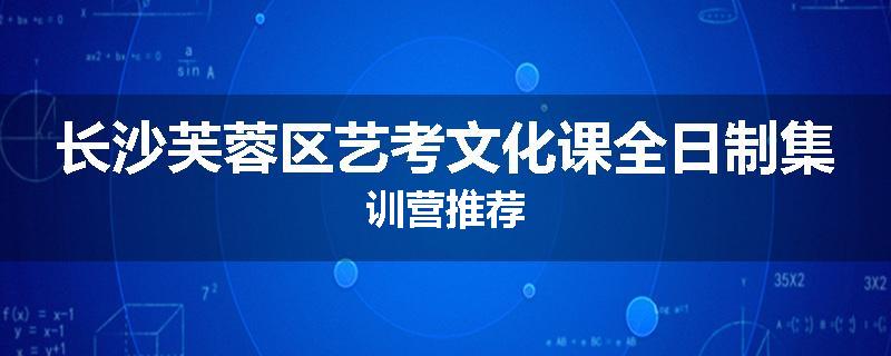 长沙芙蓉区艺考文化课全日制集训营推荐