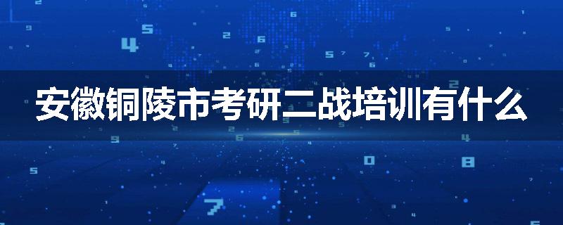 安徽铜陵市考研二战培训有什么