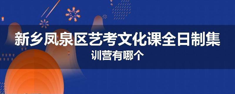 新乡凤泉区艺考文化课全日制集训营有哪个
