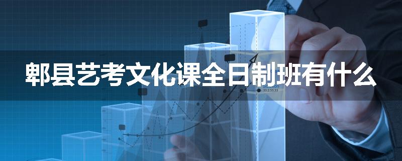 郫县艺考文化课全日制班有什么
