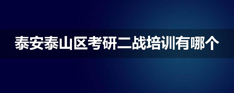 泰安泰山区考研二战培训有哪个
