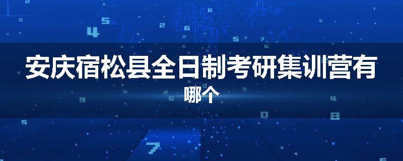 安庆宿松县全日制考研集训营有哪个