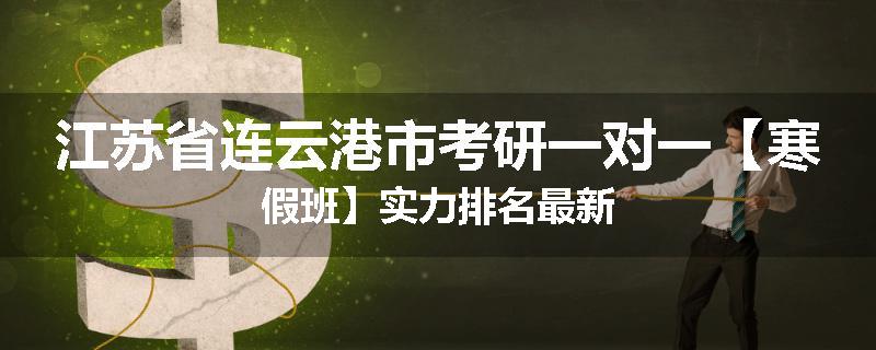 江苏省连云港市考研一对一【寒假班】实力排名最新