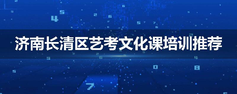 济南长清区艺考文化课培训推荐