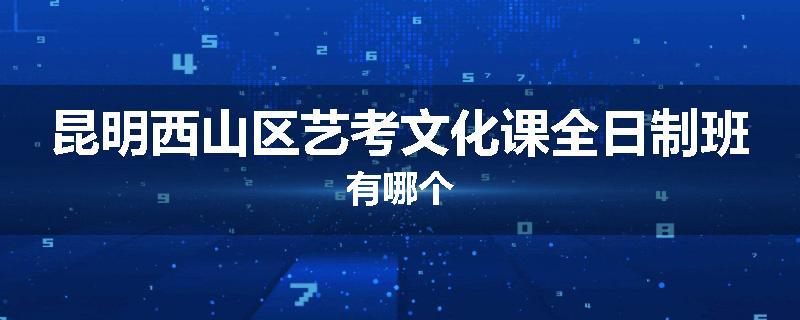 昆明西山区艺考文化课全日制班有哪个
