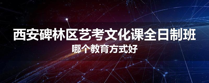 西安碑林区艺考文化课全日制班哪个教育方式好