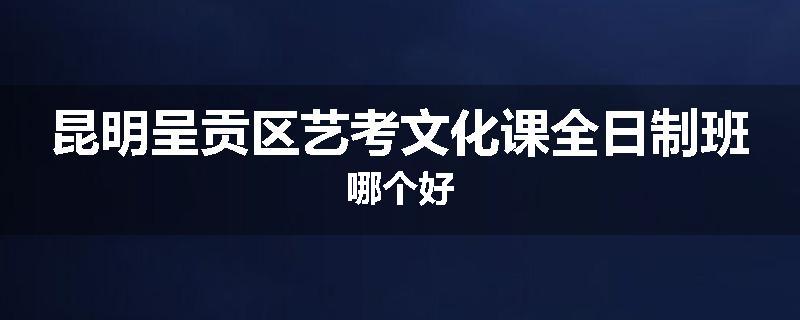 昆明呈贡区艺考文化课全日制班哪个好