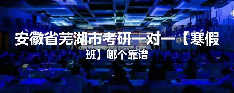 安徽省芜湖市考研一对一【寒假班】哪个靠谱