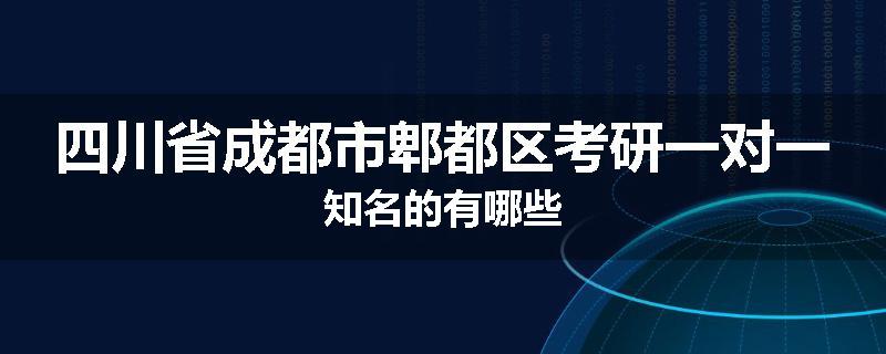 四川省成都市郫都区考研一对一知名的有哪些