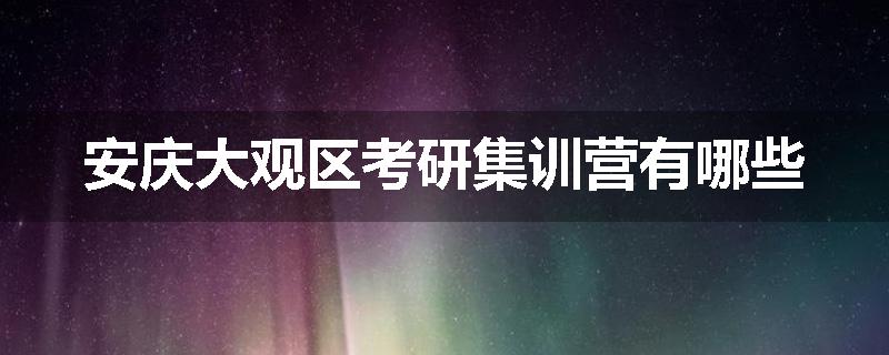 安庆大观区考研集训营有哪些