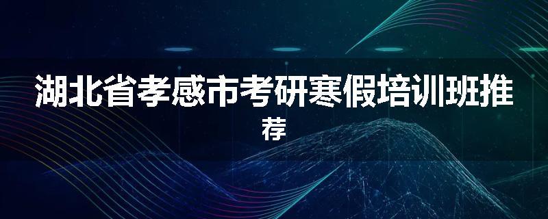 湖北省孝感市考研寒假培训班推荐