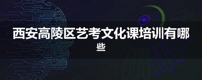 西安高陵区艺考文化课培训有哪些