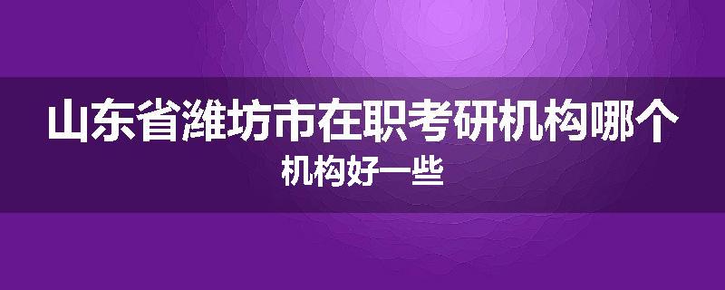 山东省潍坊市在职考研机构哪个机构好一些