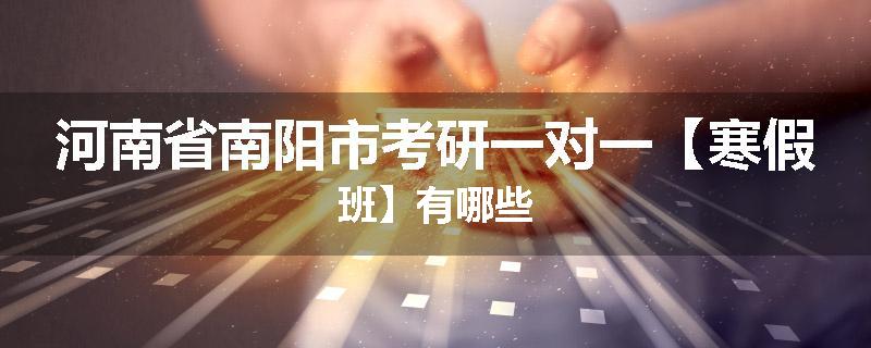 河南省南阳市考研一对一【寒假班】有哪些