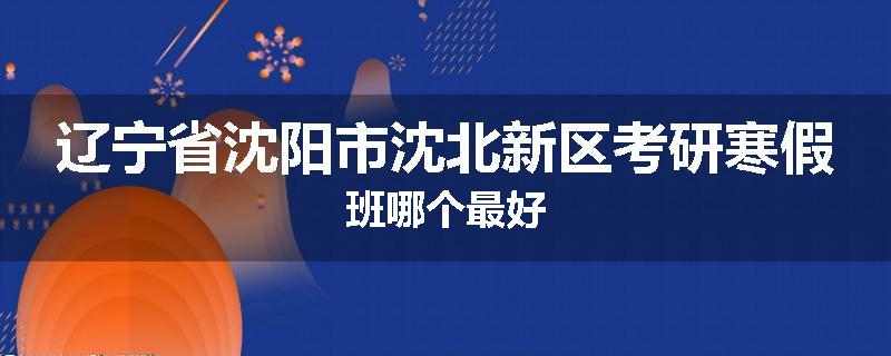 辽宁省沈阳市沈北新区考研寒假班哪个最好