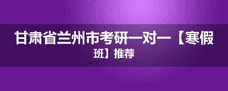 甘肃省兰州市考研一对一【寒假班】推荐