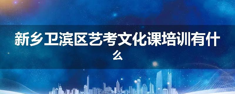 新乡卫滨区艺考文化课培训有什么