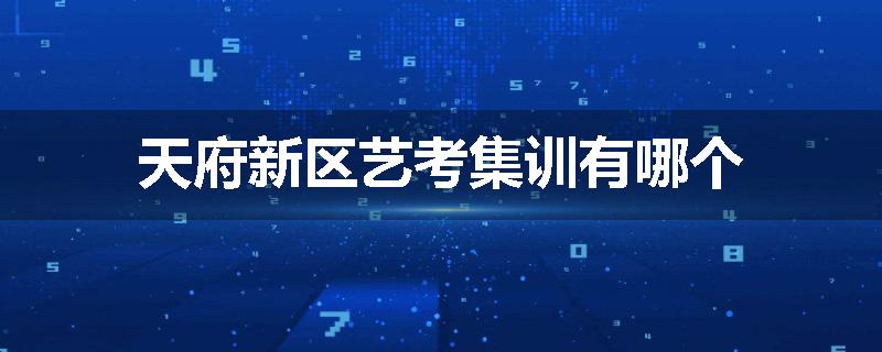 天府新区艺考集训有哪个