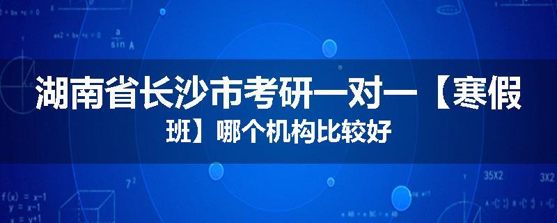 湖南省长沙市考研一对一【寒假班】哪个机构比较好