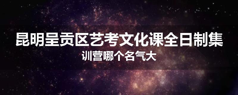 昆明呈贡区艺考文化课全日制集训营哪个名气大