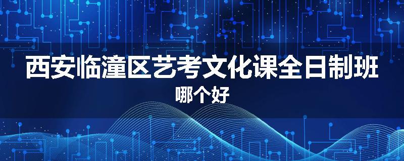 西安临潼区艺考文化课全日制班哪个好