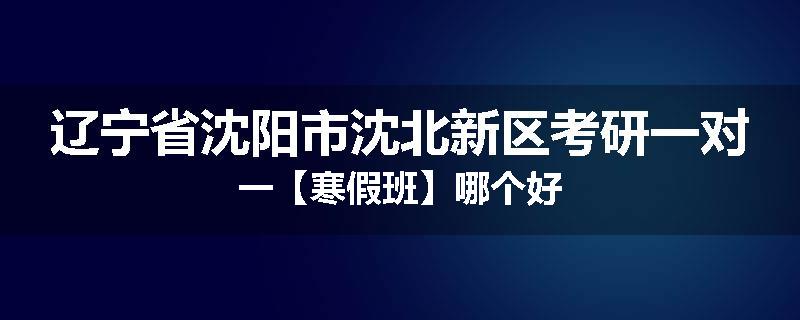 辽宁省沈阳市沈北新区考研一对一【寒假班】哪个好