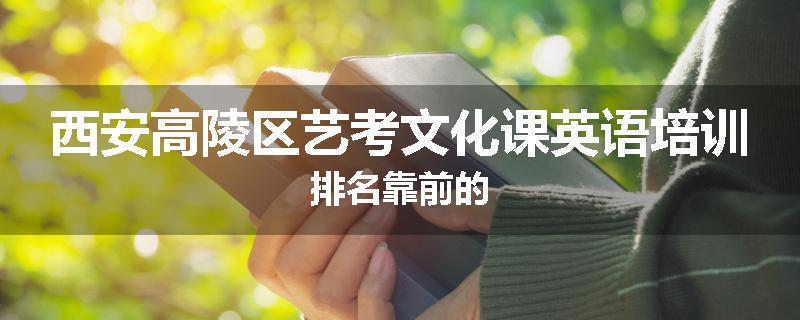 西安高陵区艺考文化课英语培训排名靠前的