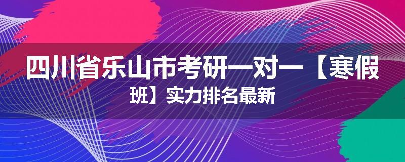 四川省乐山市考研一对一【寒假班】实力排名最新