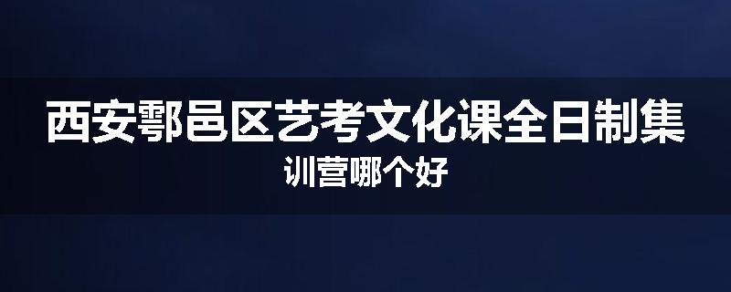 西安鄠邑区艺考文化课全日制集训营哪个好