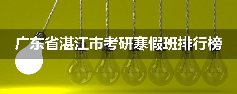 广东省湛江市考研寒假班排行榜