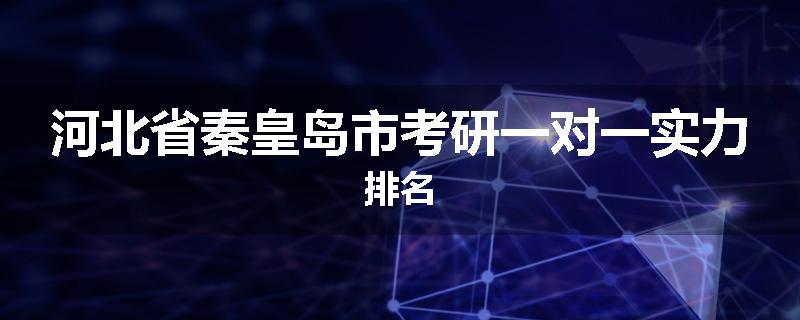 河北省秦皇岛市考研一对一实力排名