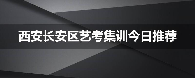 西安长安区艺考集训今日推荐