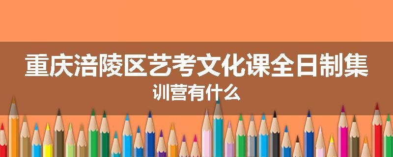 重庆涪陵区艺考文化课全日制集训营有什么