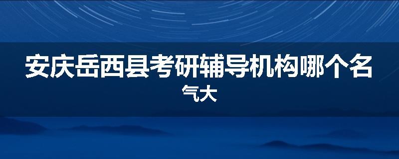 安庆岳西县考研辅导机构哪个名气大