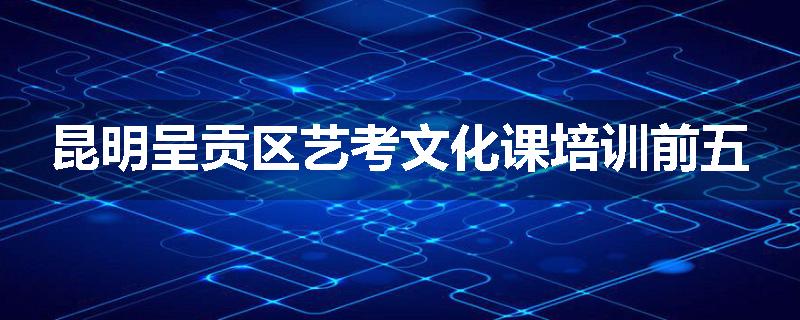 昆明呈贡区艺考文化课培训前五