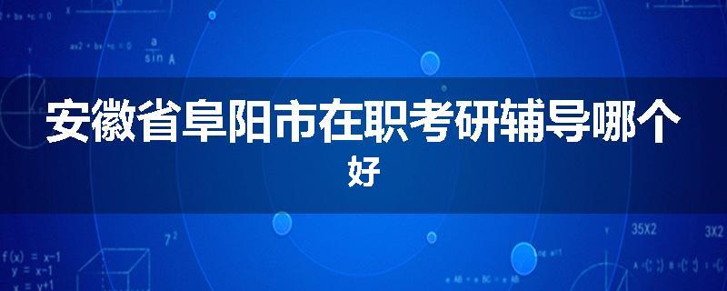 安徽省阜阳市在职考研辅导哪个好
