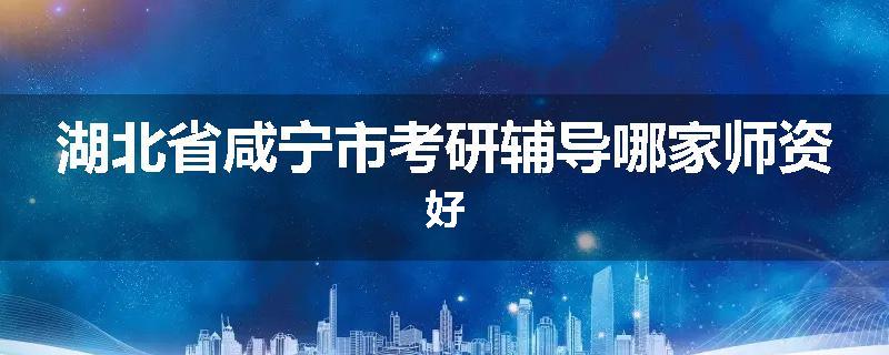 湖北省咸宁市考研辅导哪家师资好