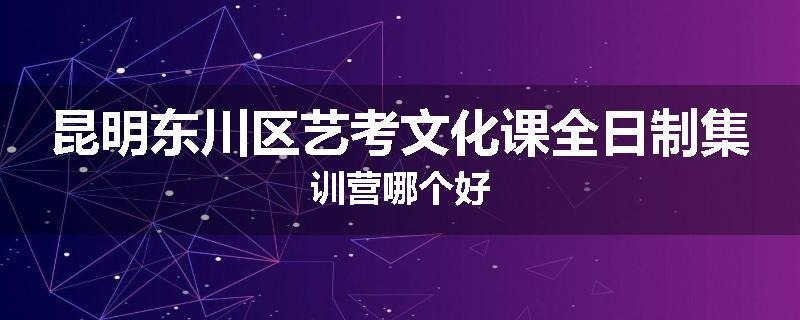 昆明东川区艺考文化课全日制集训营哪个好