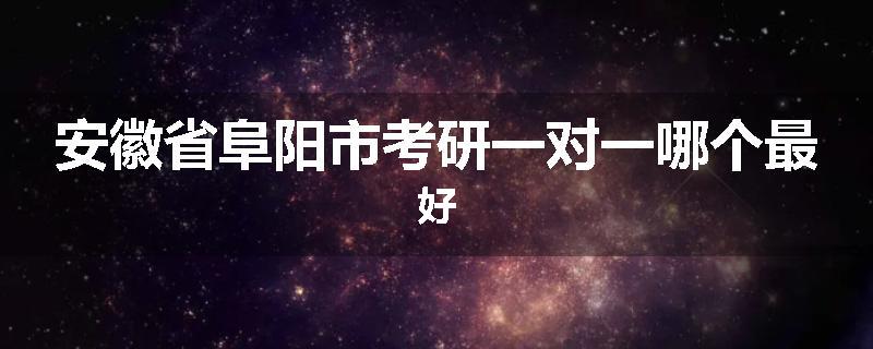 安徽省阜阳市考研一对一哪个最好