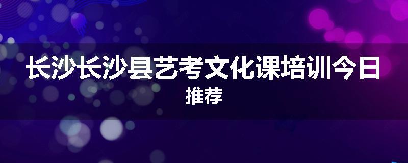 长沙长沙县艺考文化课培训今日推荐