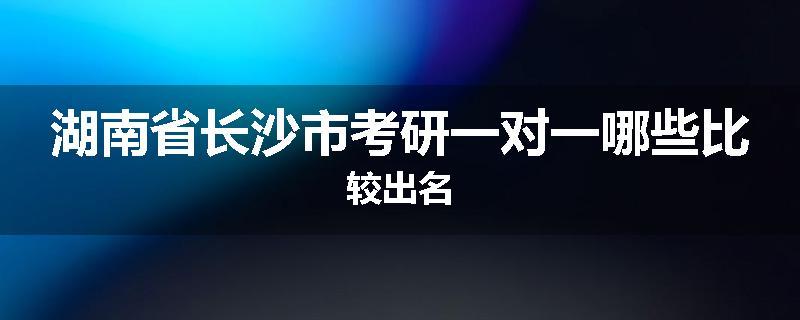 湖南省长沙市考研一对一哪些比较出名