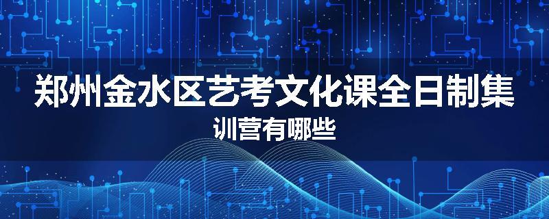 郑州金水区艺考文化课全日制集训营有哪些