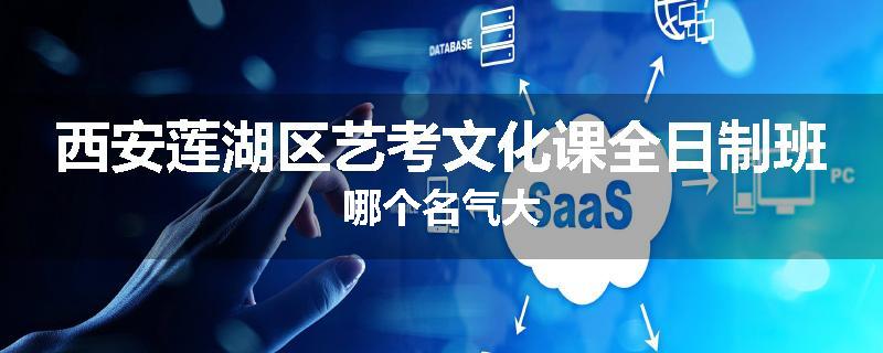 西安莲湖区艺考文化课全日制班哪个名气大