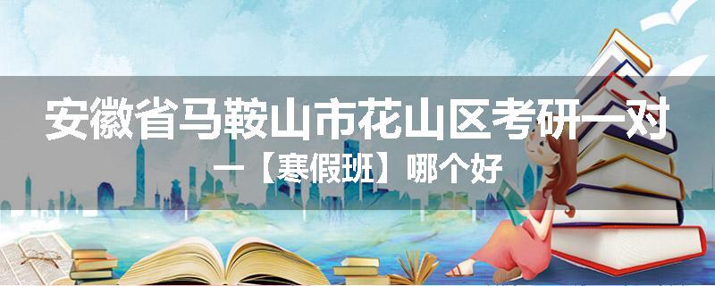 安徽省马鞍山市花山区考研一对一【寒假班】哪个好