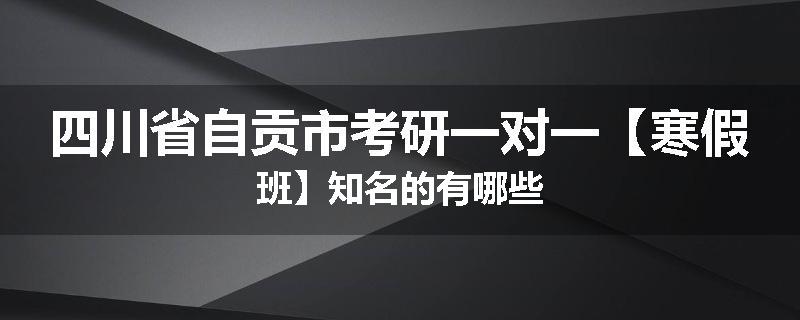 四川省自贡市考研一对一【寒假班】知名的有哪些