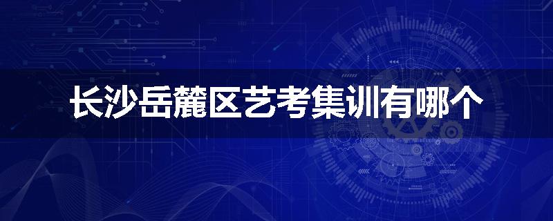 长沙岳麓区艺考集训有哪个