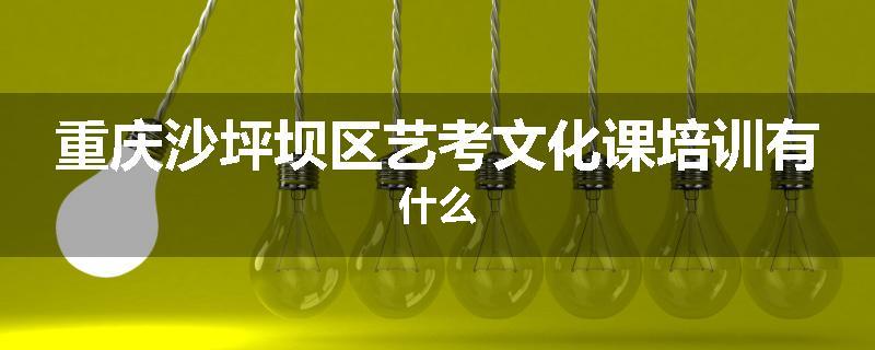 重庆沙坪坝区艺考文化课培训有什么