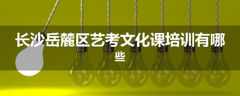 长沙岳麓区艺考文化课培训有哪些