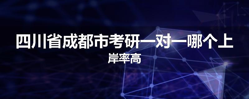 四川省成都市考研一对一哪个上岸率高